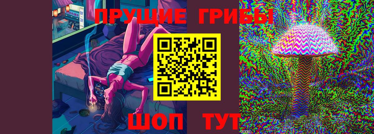 Псилоцибиновые грибы GOLDEN TEACHER  Вход с VPN  Гагарин 